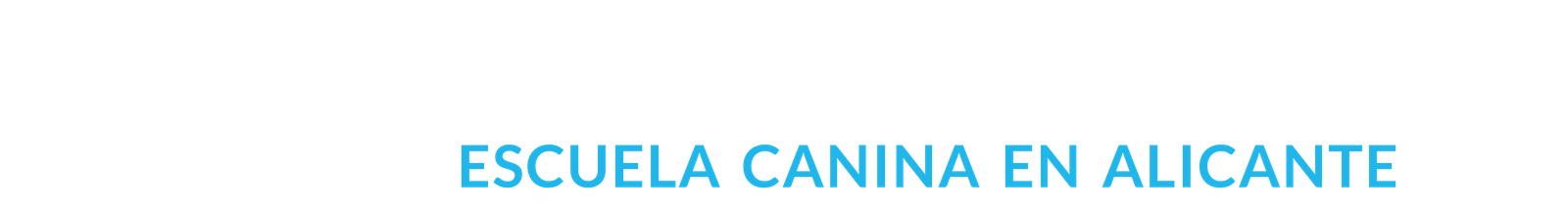 Internacional K9