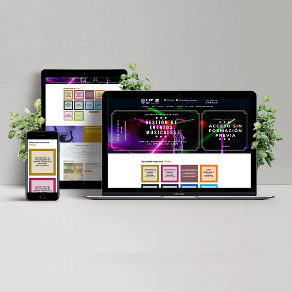 Ejemplo de diseño web de IMEP
